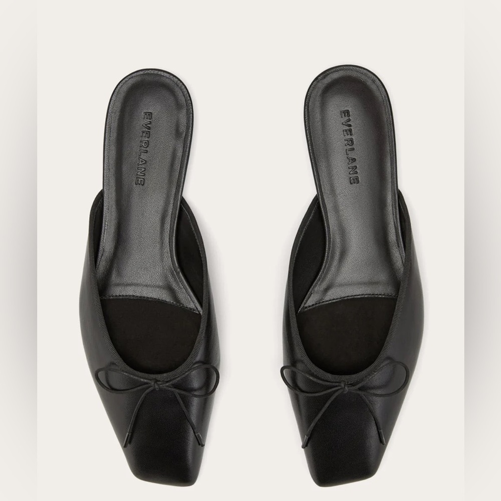 Everlane The Ballet Mule